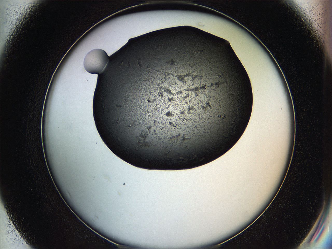 05h9_F7_ImagerDefaults_6.jpg