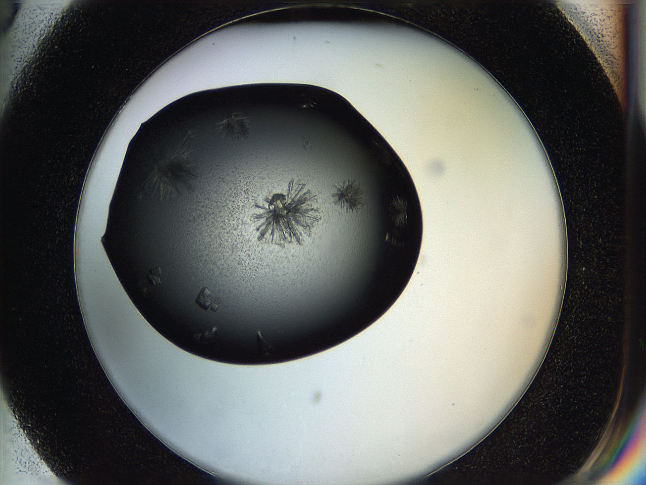 05h9_G3_ImagerDefaults_7.jpg