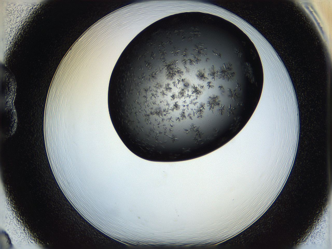 05ha_B8_ImagerDefaults_6.jpg