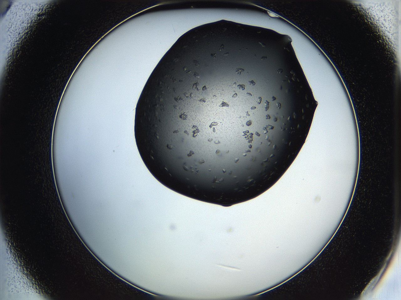 05ha_B9_ImagerDefaults_6.jpg