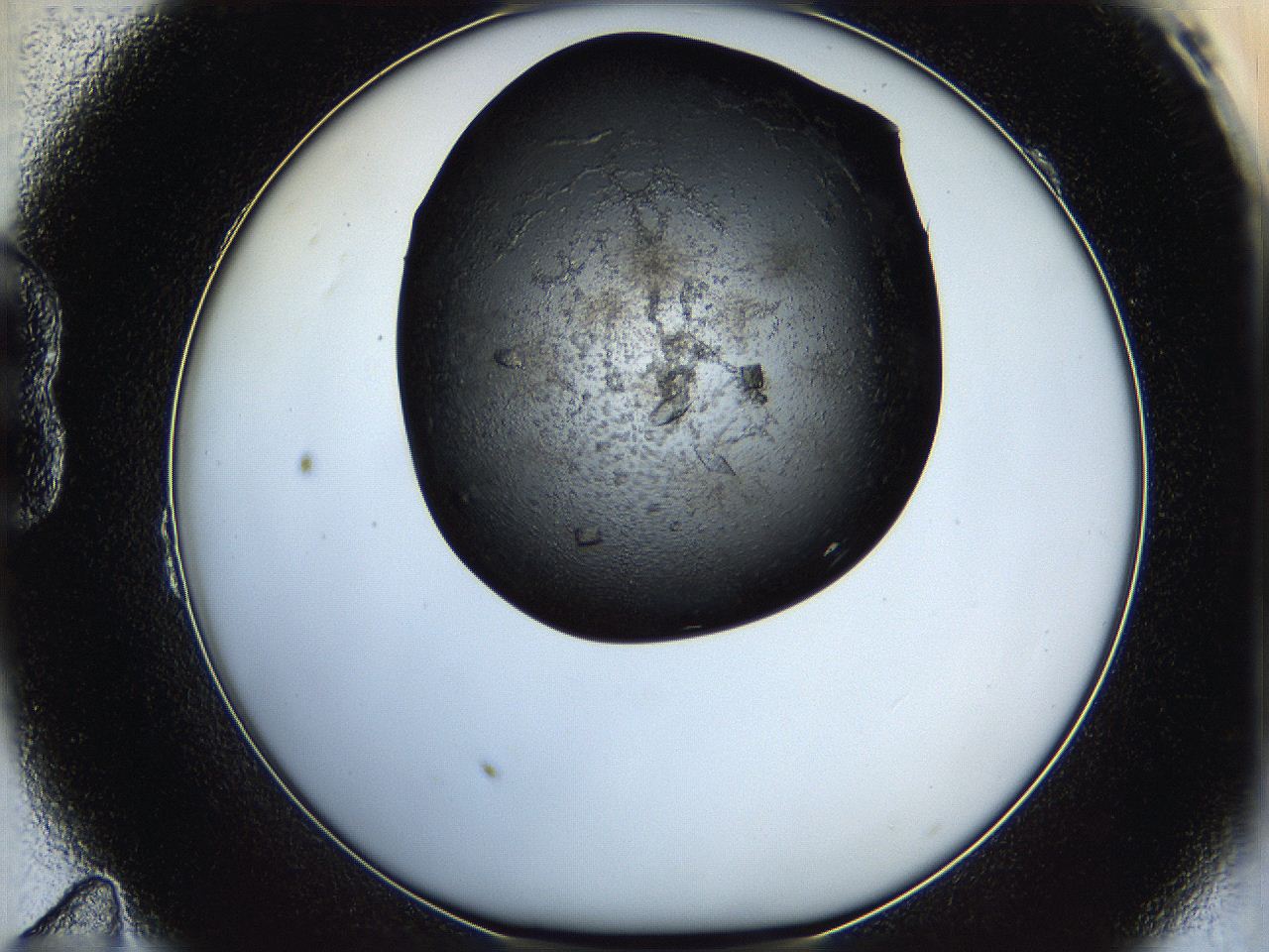 05ha_B11_ImagerDefaults_8.jpg