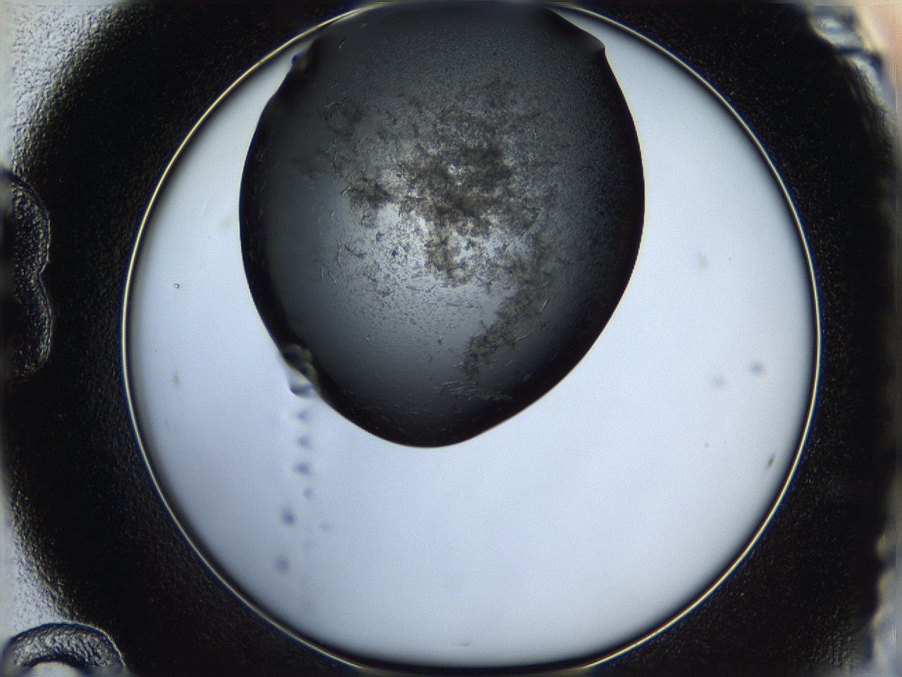05ha_B12_ImagerDefaults_6.jpg
