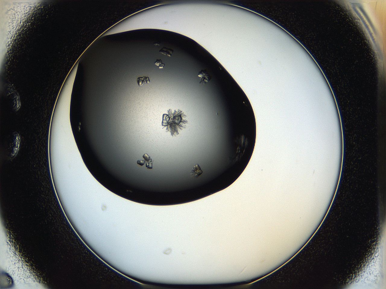 05ha_C6_ImagerDefaults_8.jpg