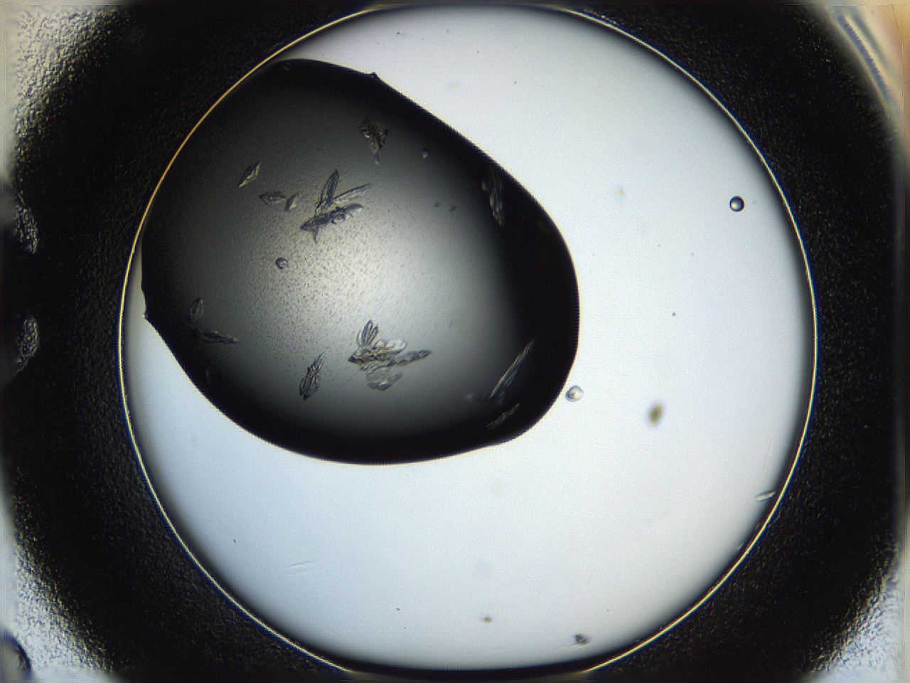 05ha_C8_ImagerDefaults_8.jpg