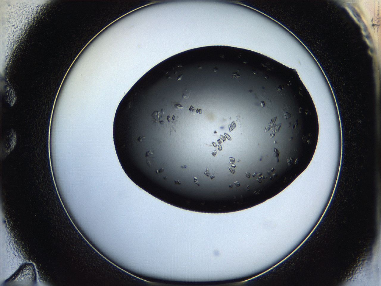 05ha_C11_ImagerDefaults_7.jpg