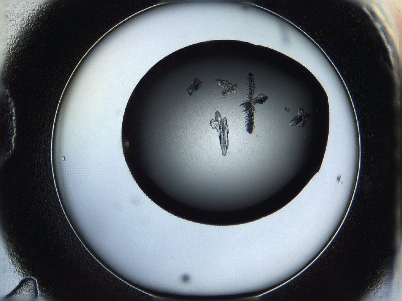 05ha_D11_ImagerDefaults_8.jpg