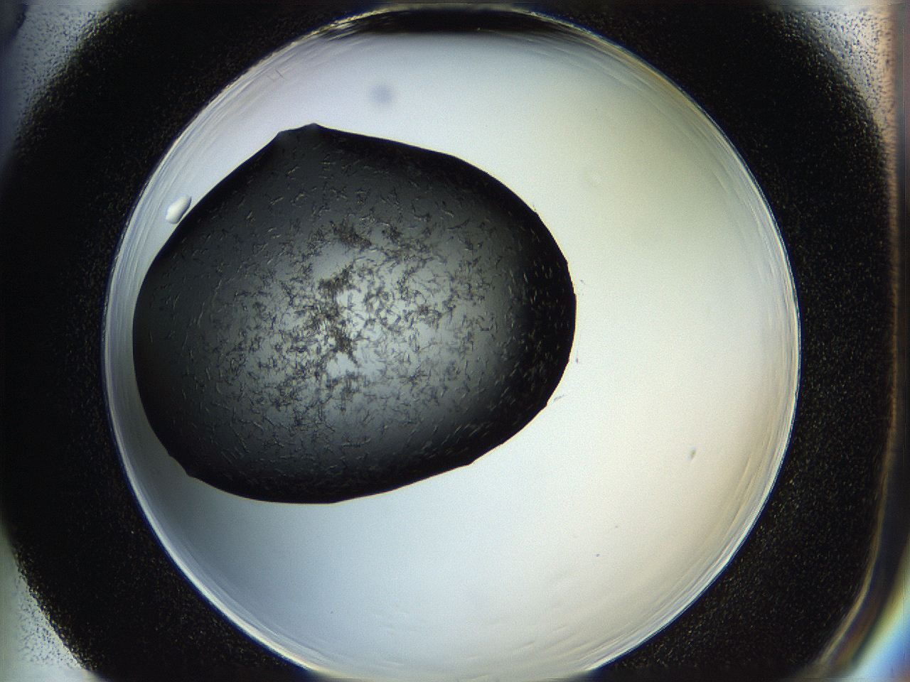 05ha_F5_ImagerDefaults_6.jpg
