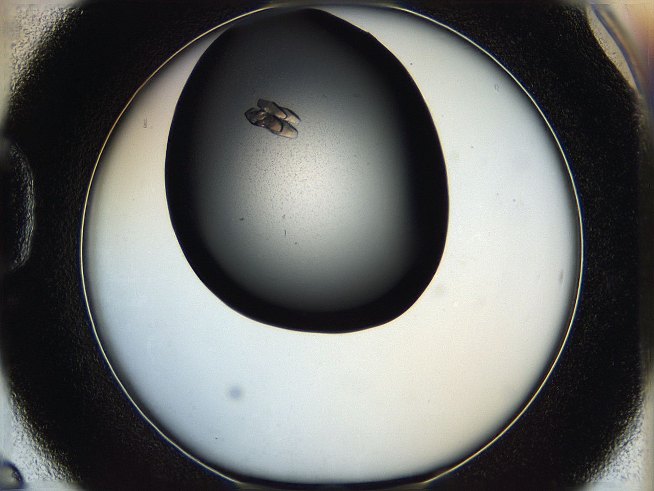 05ha_D6_ImagerDefaults_8.jpg