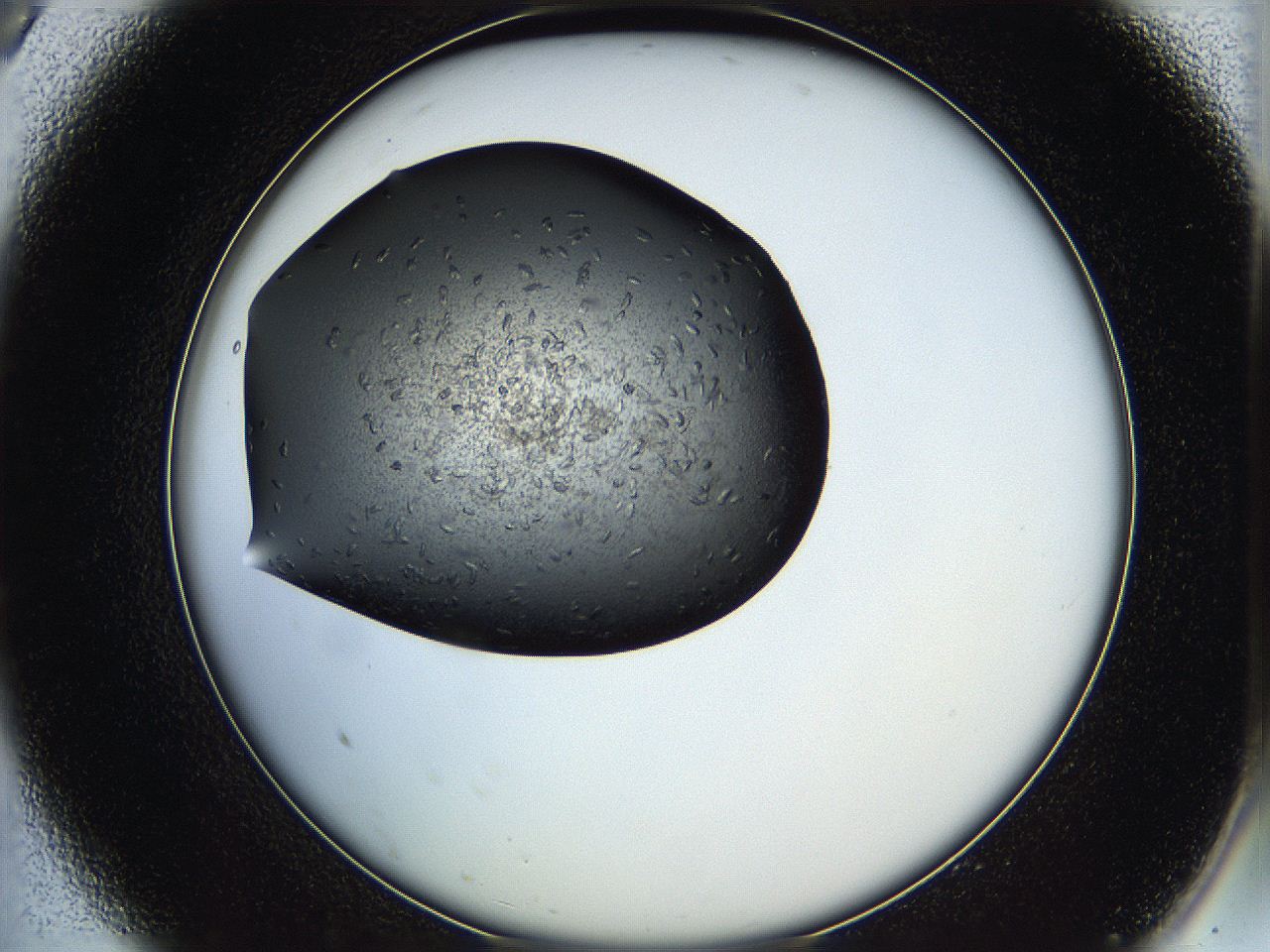 05ha_A9_ImagerDefaults_6.jpg