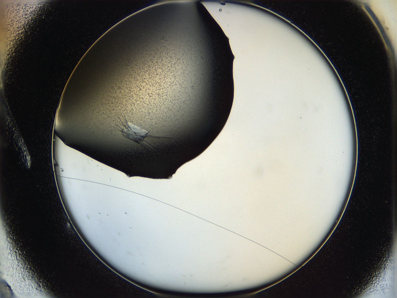 05ha_A9_ImagerDefaults_9.jpg
