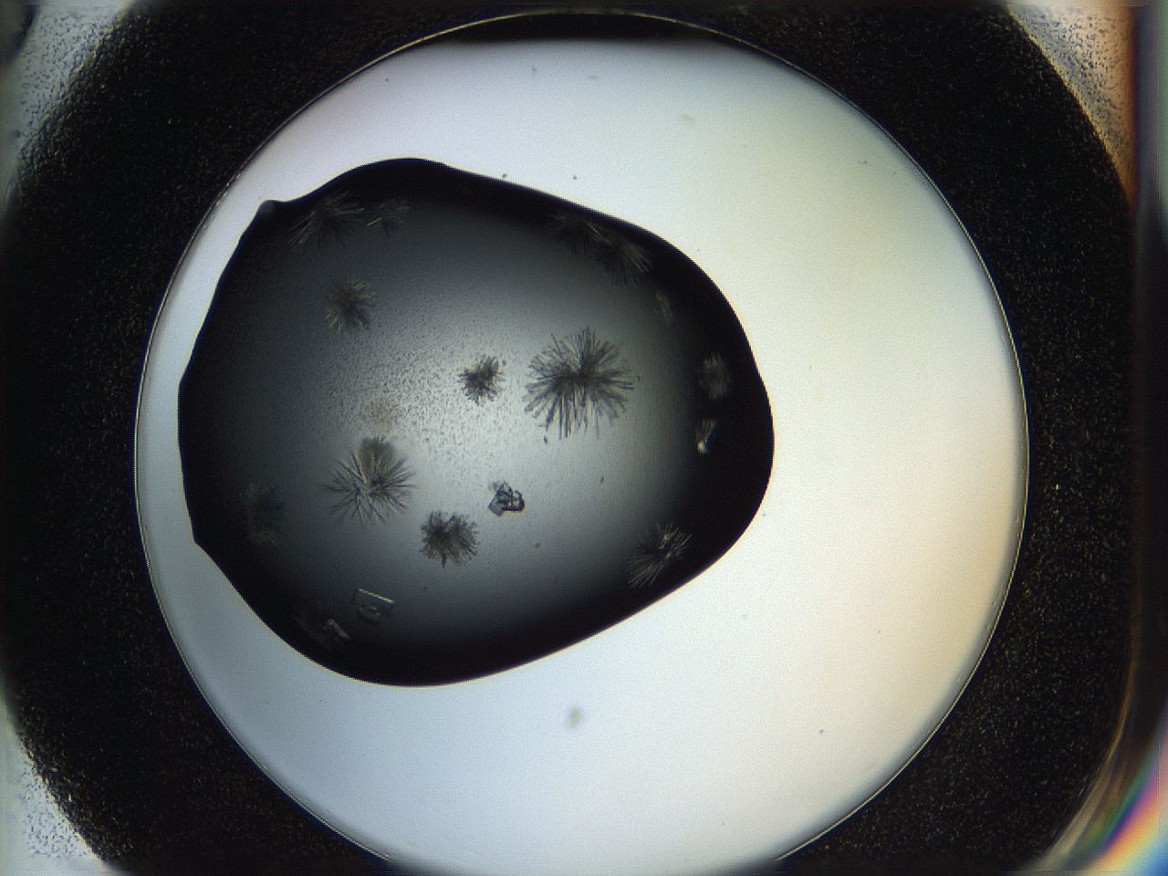 05ha_G3_ImagerDefaults_8.jpg