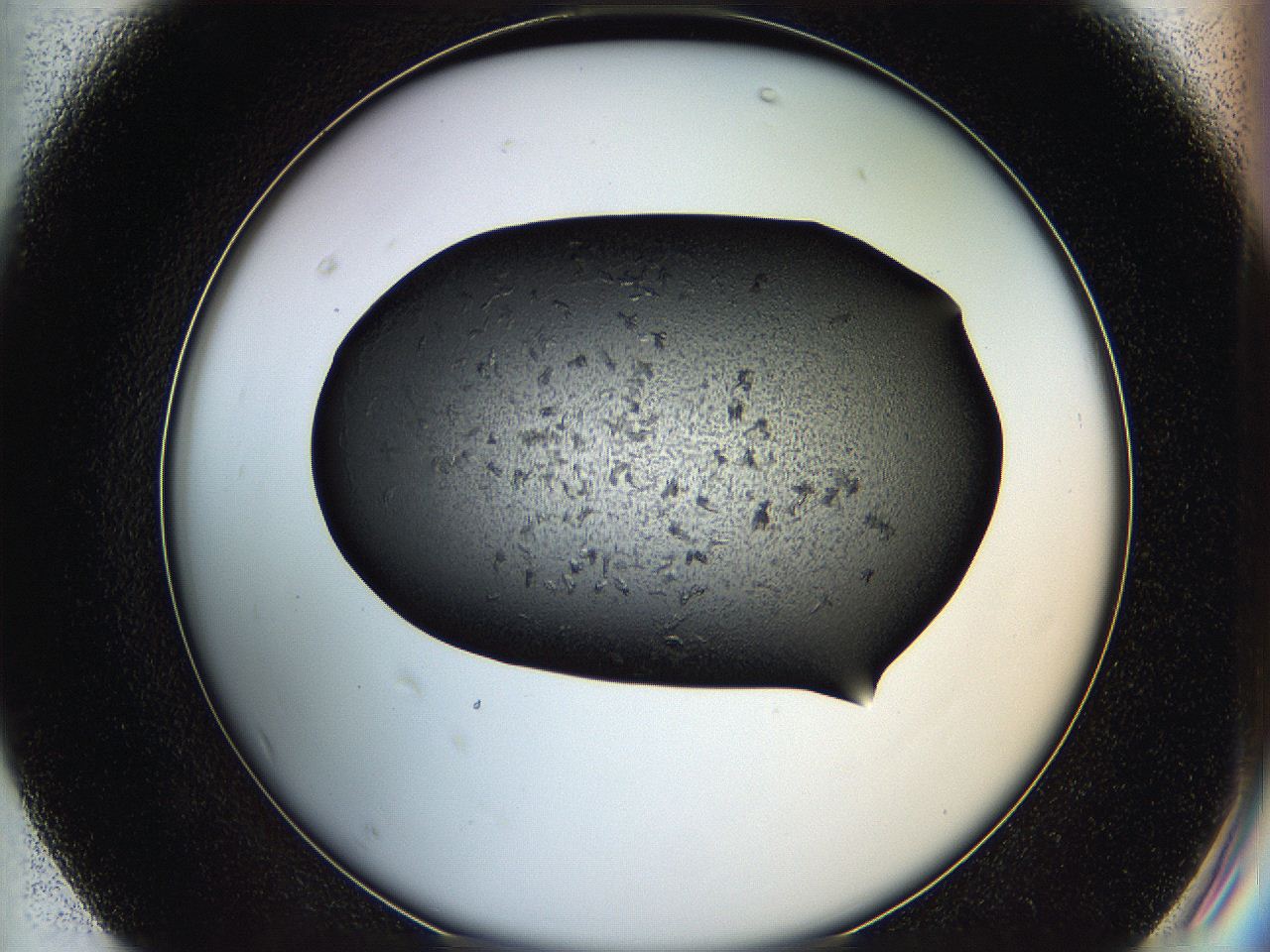 05ha_F7_ImagerDefaults_6.jpg