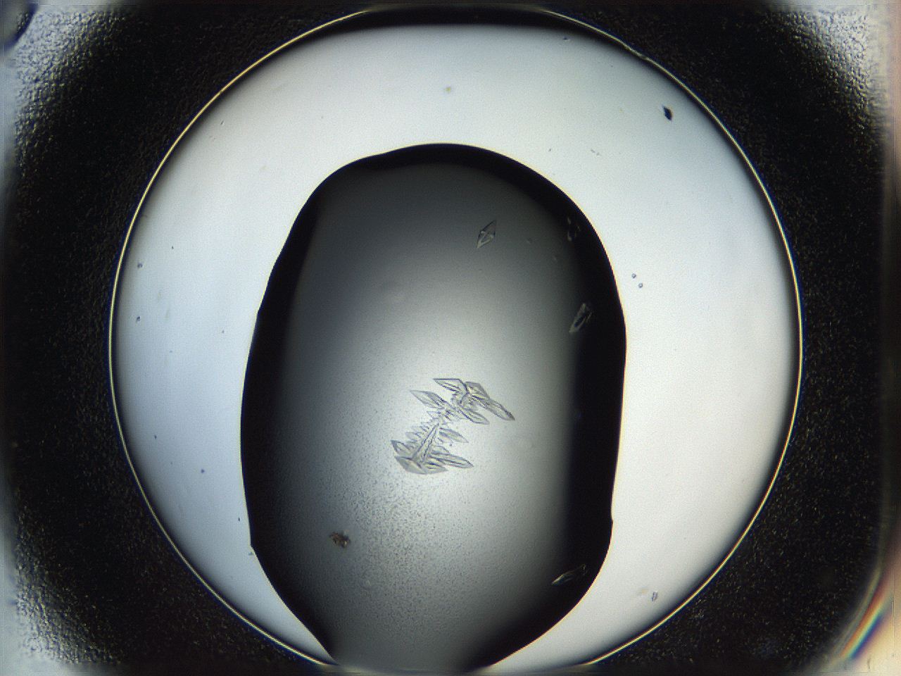 05ha_D8_ImagerDefaults_8.jpg