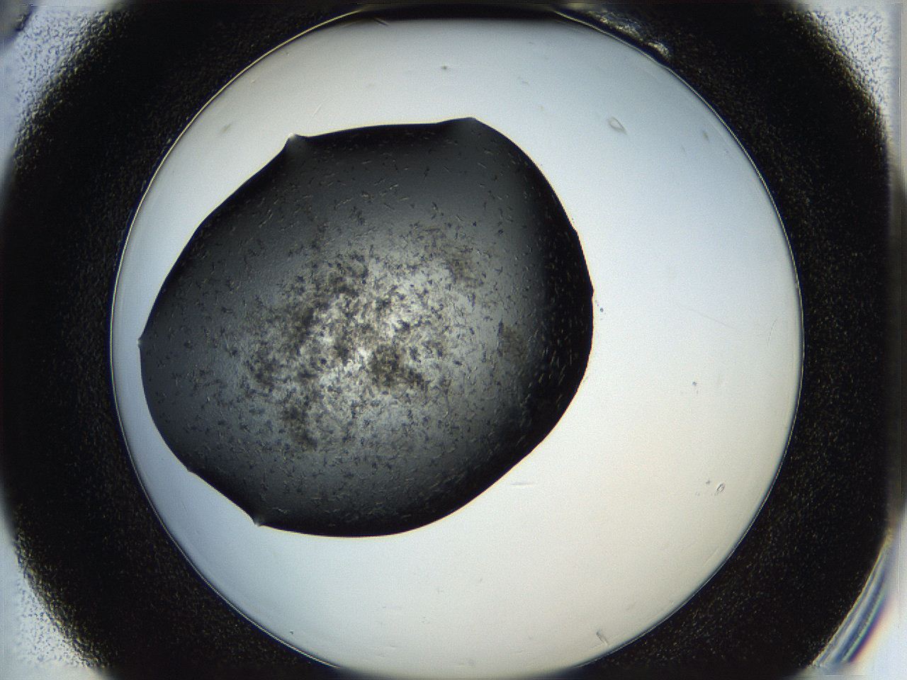 05ha_B6_ImagerDefaults_6.jpg