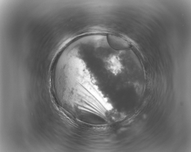 X0000054351415200508190116.png