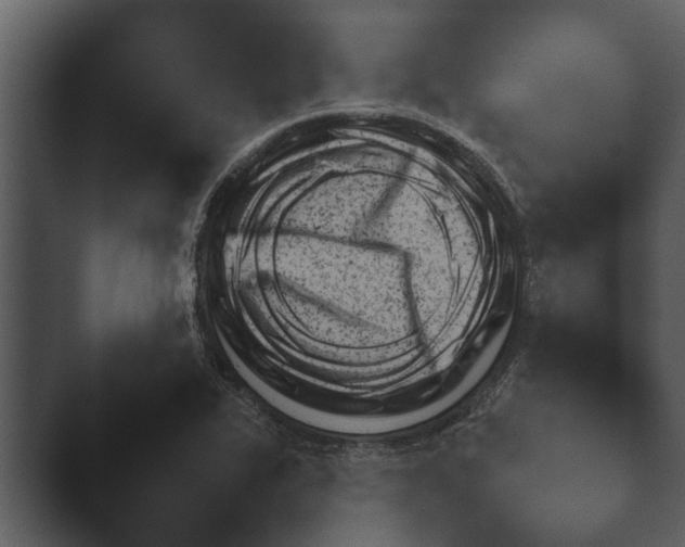 X0000044231319200501101628.png