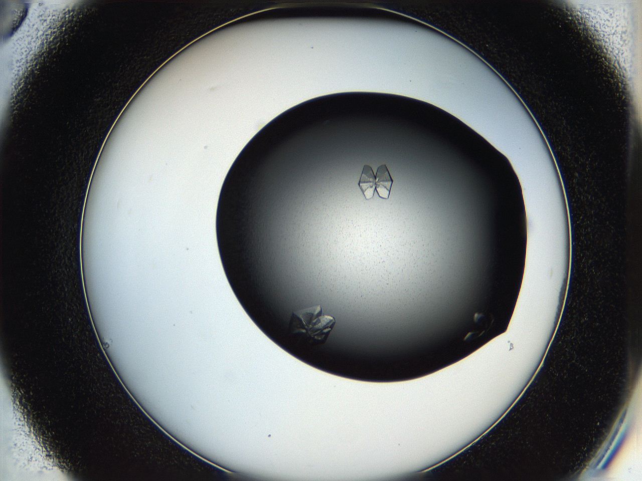 05hb_C6_ImagerDefaults_9.jpg