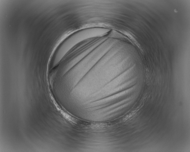 X0000055251046200509071610.png