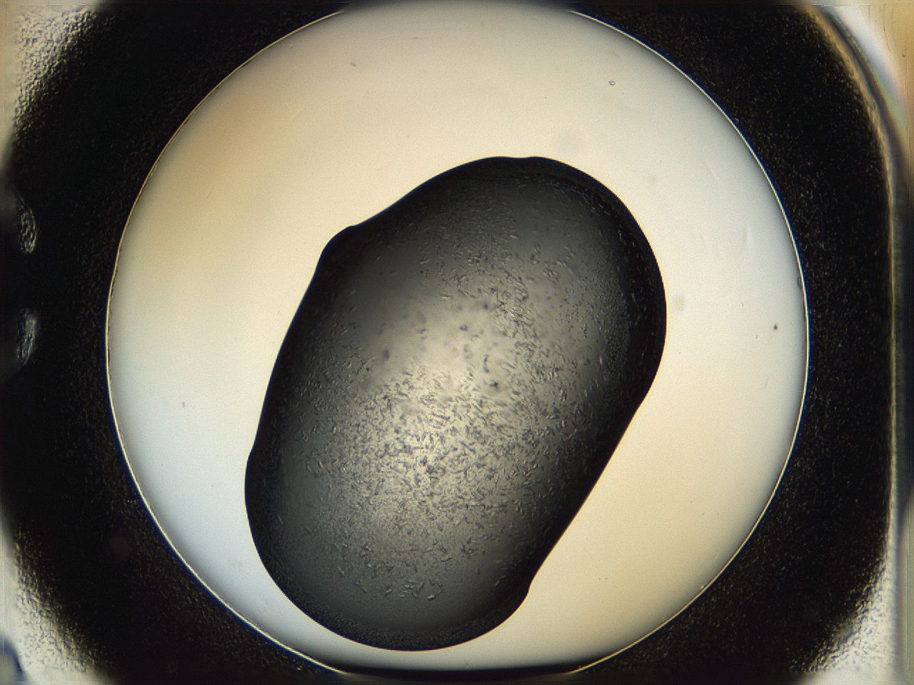 05hb_C2_ImagerDefaults_6.jpg