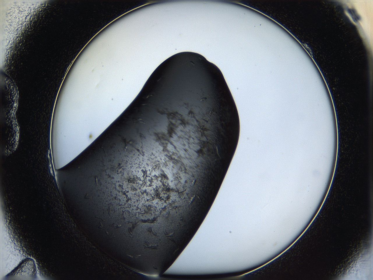 05hb_B11_ImagerDefaults_7.jpg