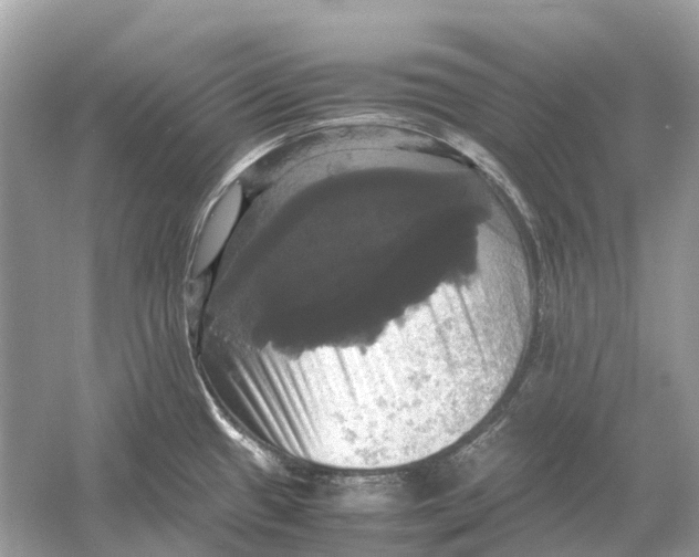 X0000054351433200508190116.png