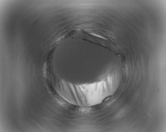 X0000054350767200508190128.png