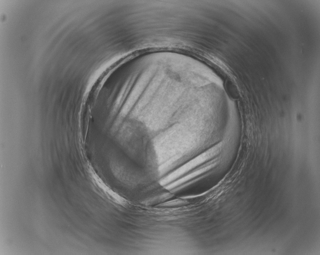 X0000054171120200508101752.png