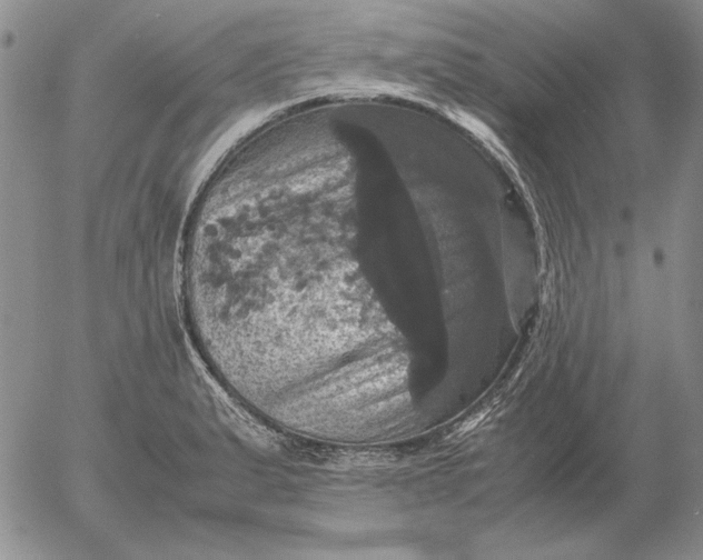 X0000054171183200508101752.png