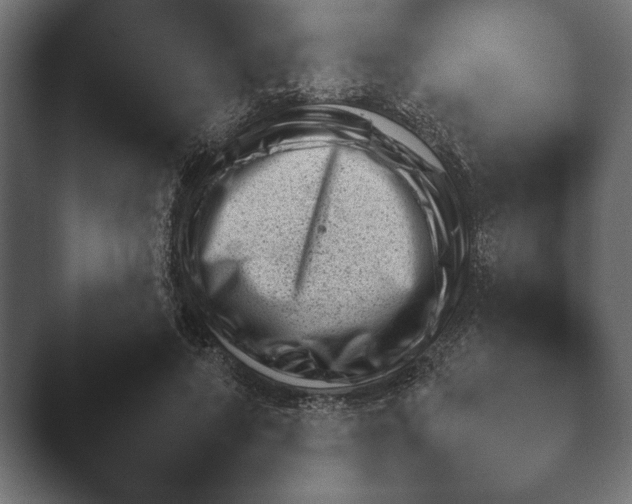 X0000045460690200502081419.png