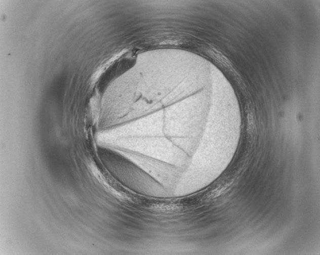 X0000054230537200508171514.png