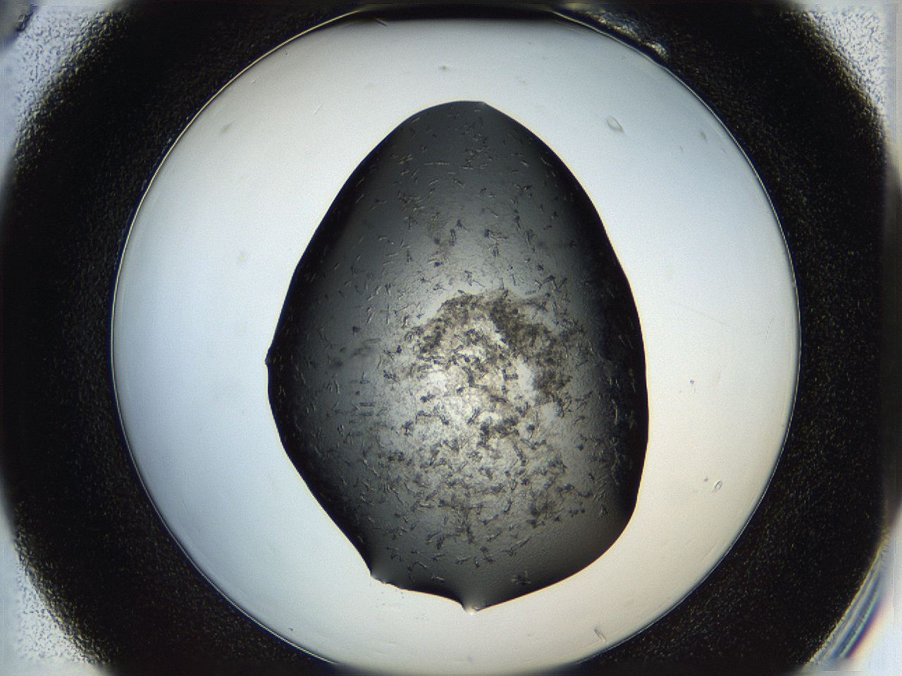 05hb_B6_ImagerDefaults_6.jpg