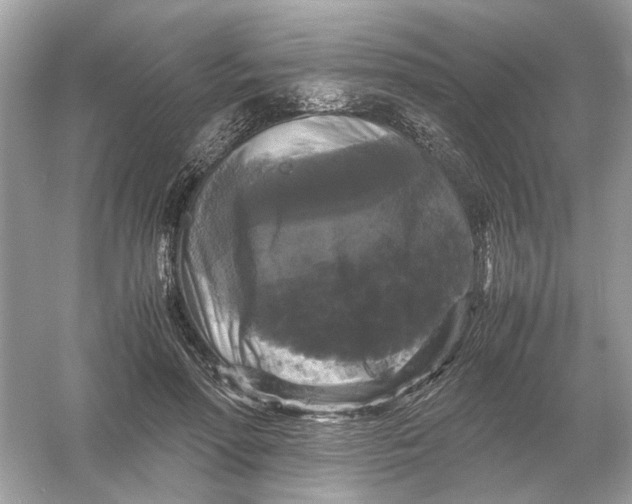 X0000054350598200508190130.png