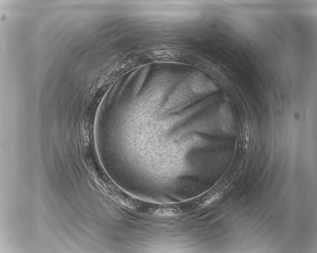 X0000055070751200508232328.png