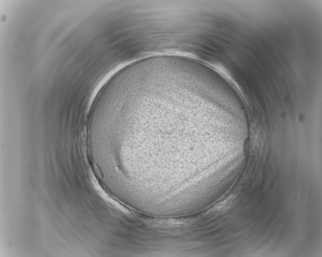 X0000055071100200508232322.png