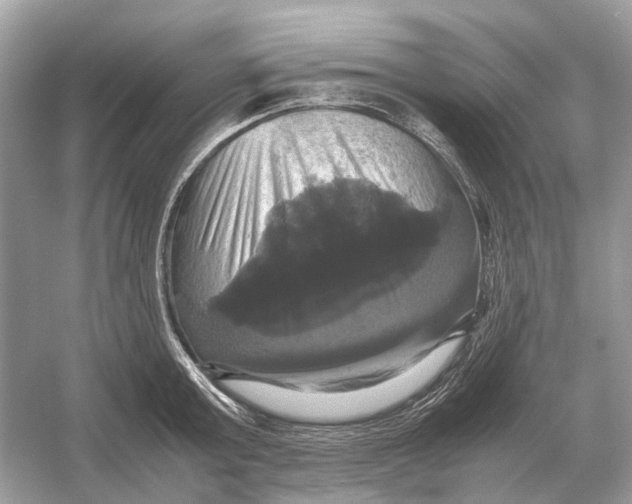 X0000054350803200508190127.png