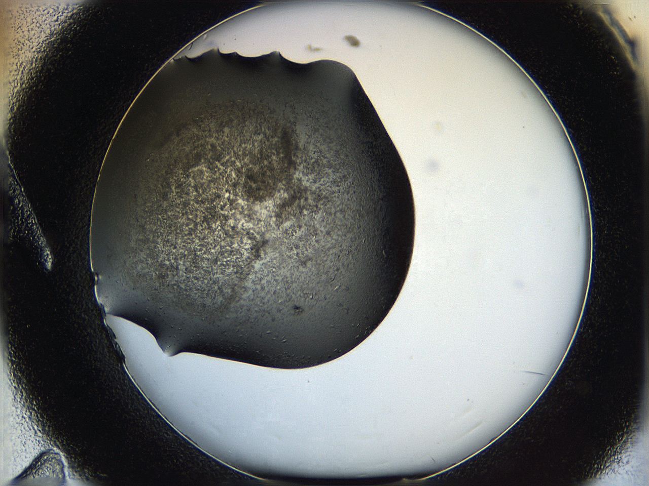 05hb_A11_ImagerDefaults_6.jpg