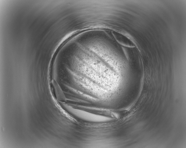 X0000054301142200508042303.png