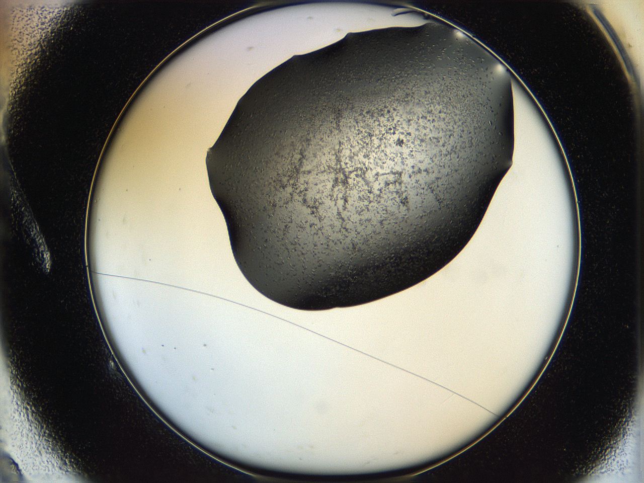 05hb_A9_ImagerDefaults_6.jpg