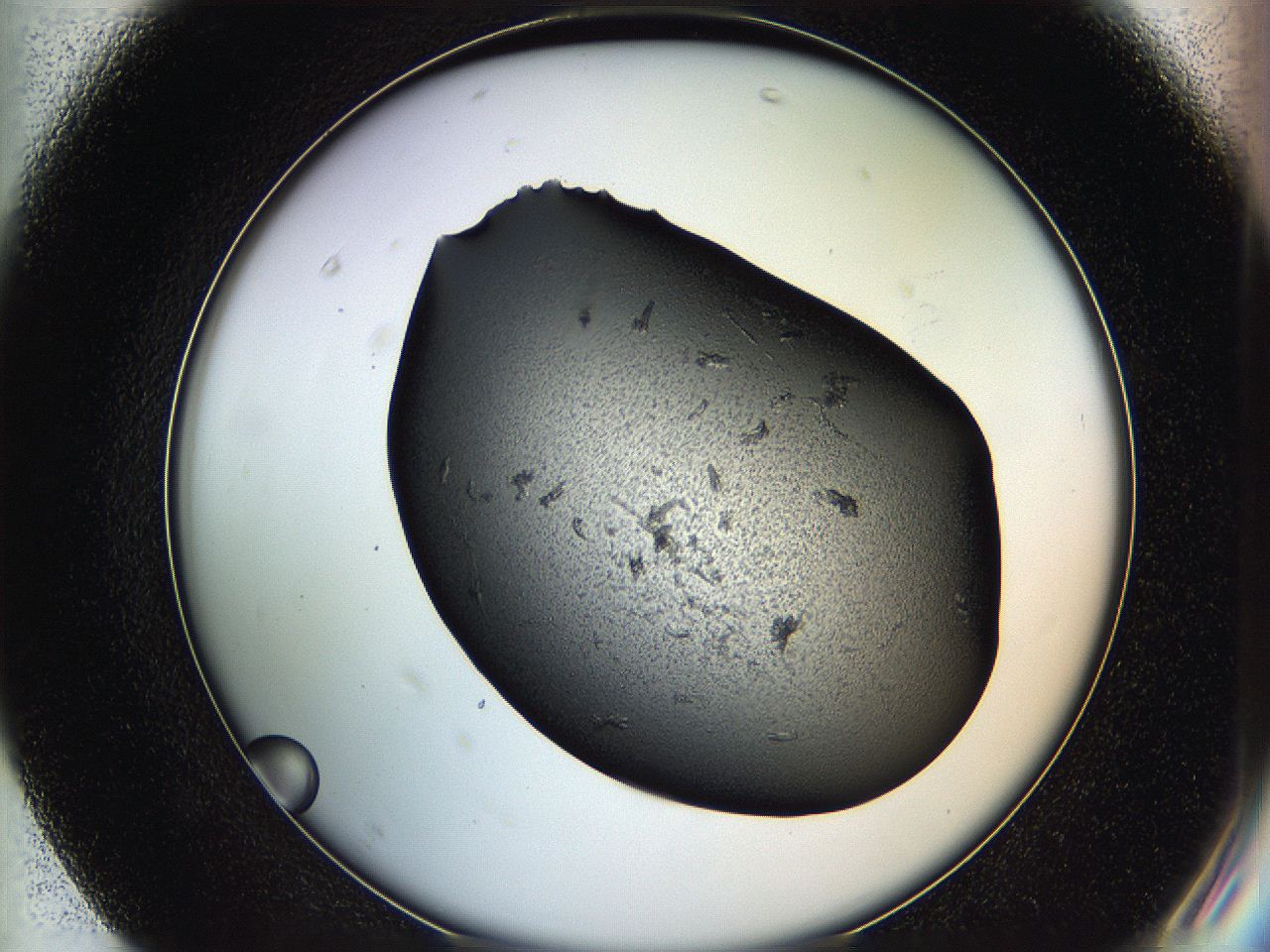 05hb_F7_ImagerDefaults_6.jpg