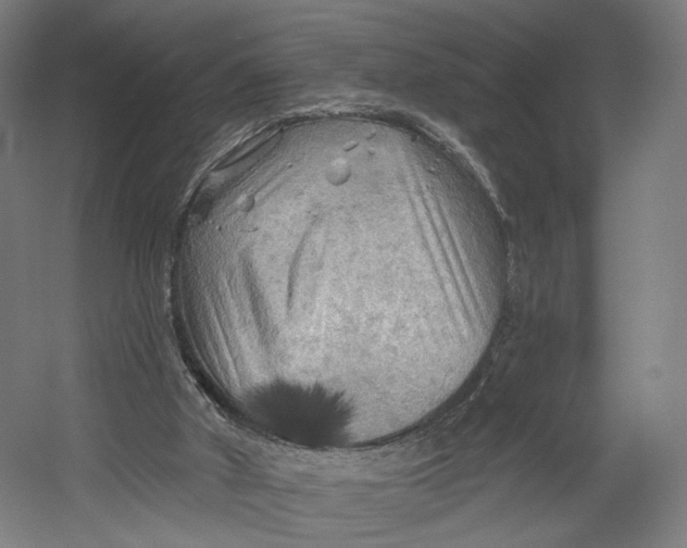 X0000055210010200508301334.png