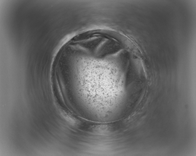 X0000054300104200508042320.png