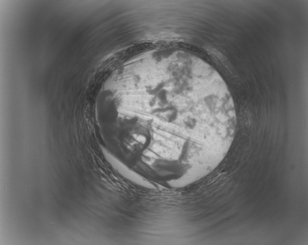 X0000055251063200509071609.png