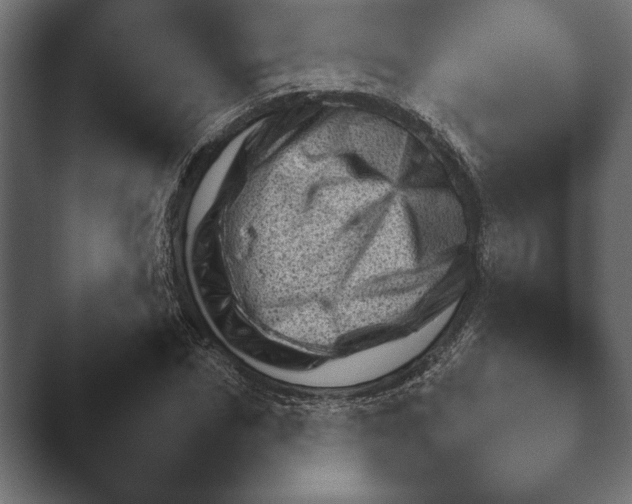 X0000045460970200502081414.png