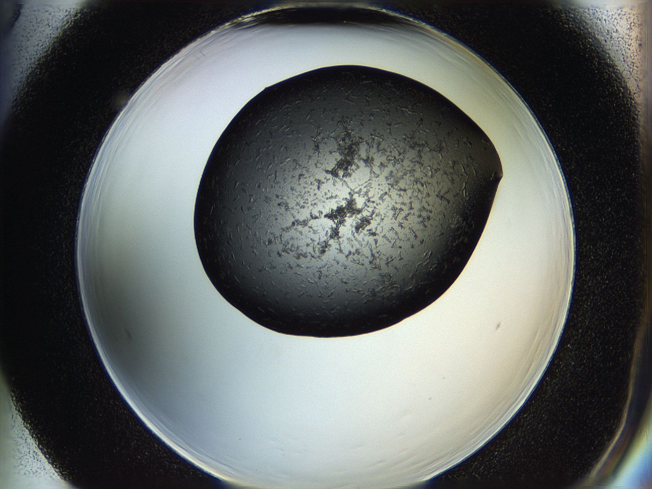 05hb_F5_ImagerDefaults_6.jpg