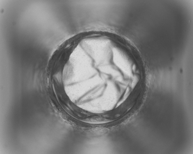 X0000052121117200507262044.png