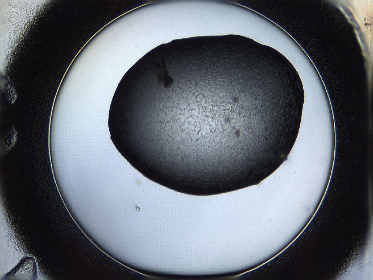 05hb_C11_ImagerDefaults_6.jpg