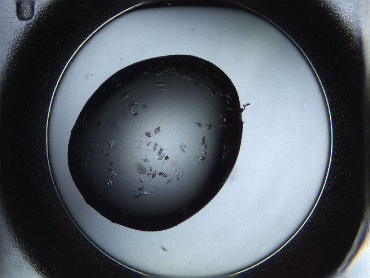 05hb_C11_ImagerDefaults_7.jpg