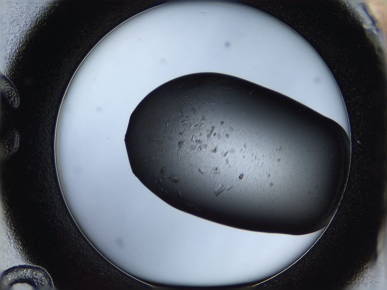 05hb_C12_ImagerDefaults_7.jpg