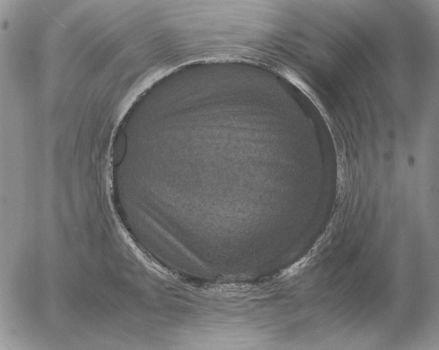 X0000054171093200508101753.png