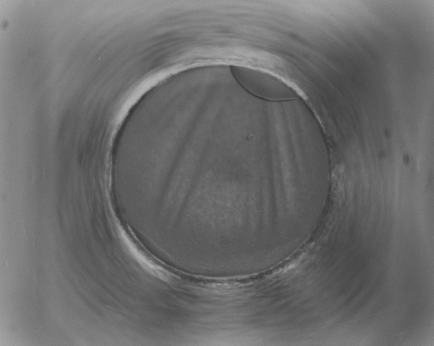 X0000054171523200508101747.png